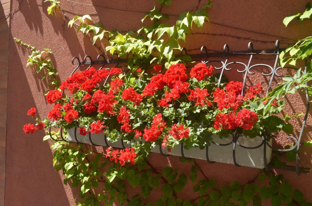 Gastehaus Graupner Hotel Bamberg Exterior foto